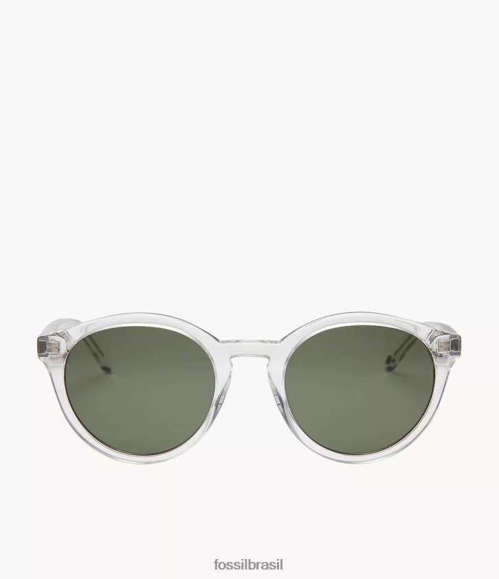 Fossil acessório homens óculos de sol redondos wren verde 66RZLJ2056