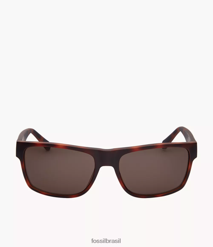 Fossil acessório homens óculos de sol retangulares burke marrom 66RZLJ2058