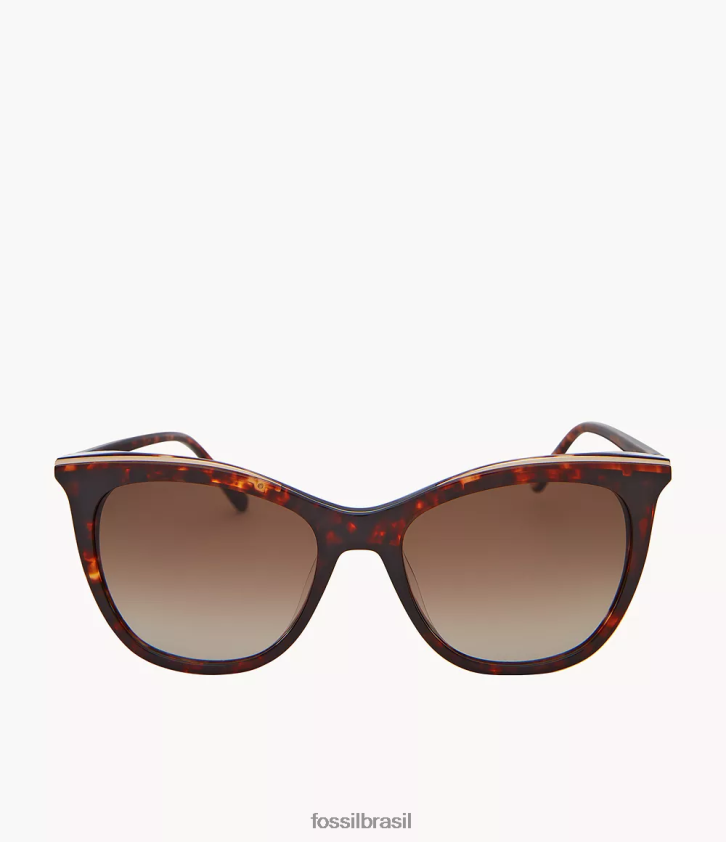 Fossil acessório mulheres óculos de sol gatinho haddie marrom 66RZLJ1973