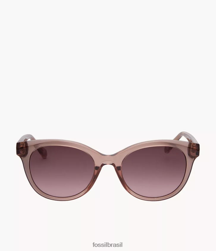 Fossil acessório mulheres óculos de sol redondos celina marrom 66RZLJ1979