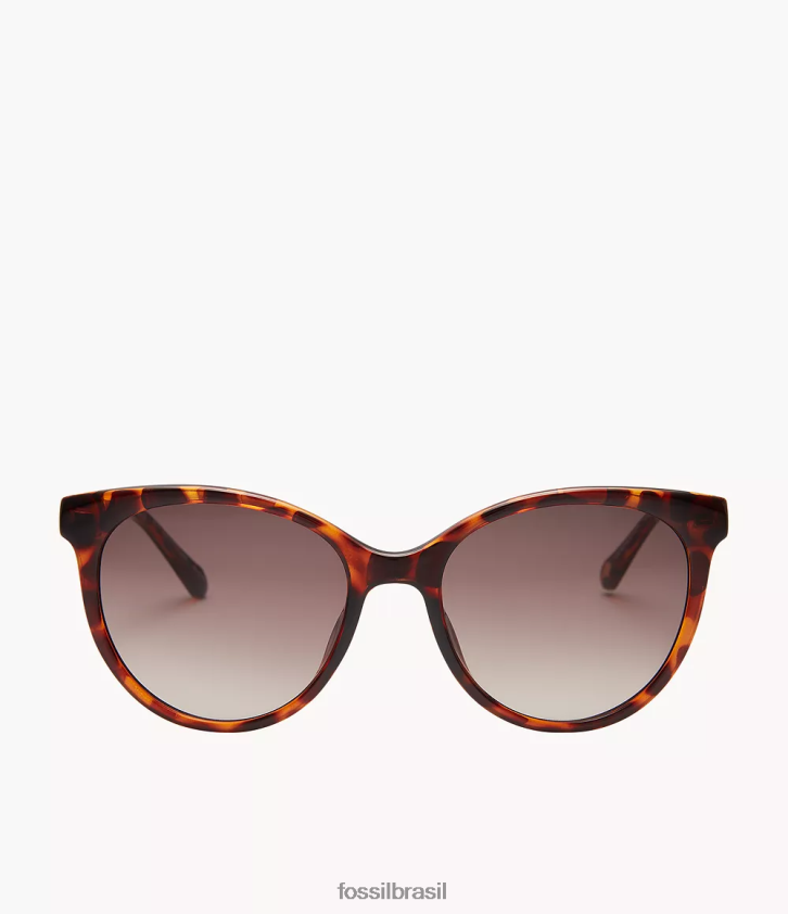 Fossil acessório mulheres óculos de sol redondos rileigh marrom 66RZLJ1976