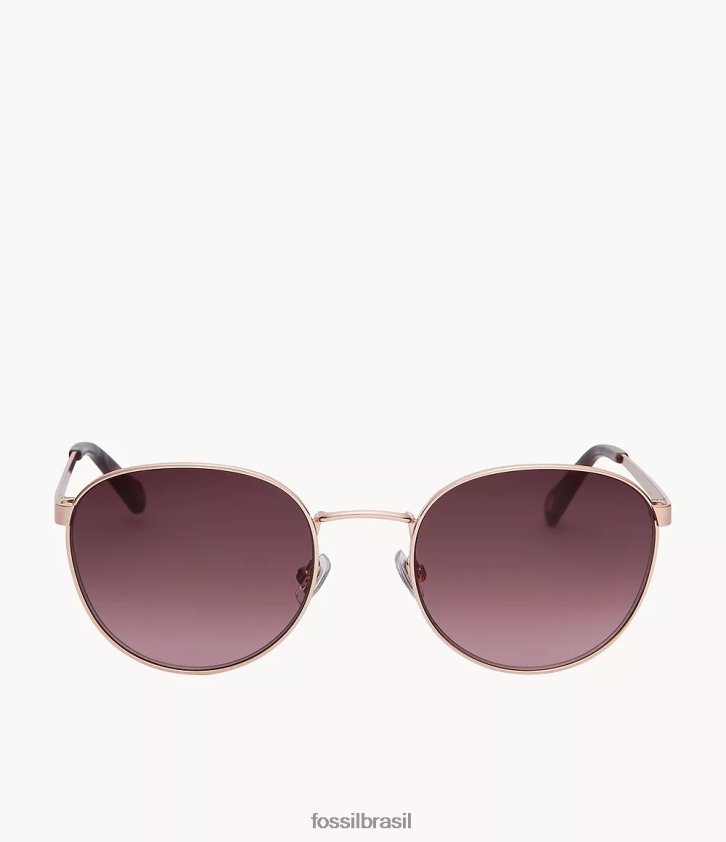 Fossil acessório mulheres óculos de sol redondos winnie marrom 66RZLJ1983